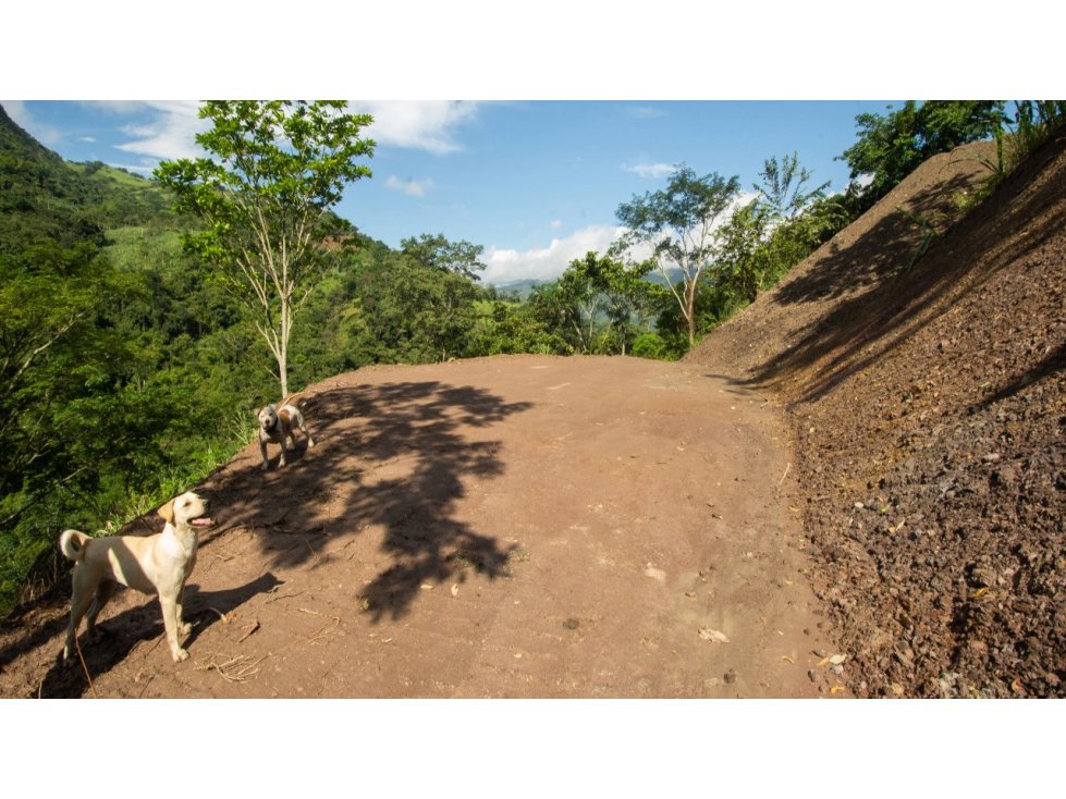 Vendo Excelente Lote en Nimaima - 6