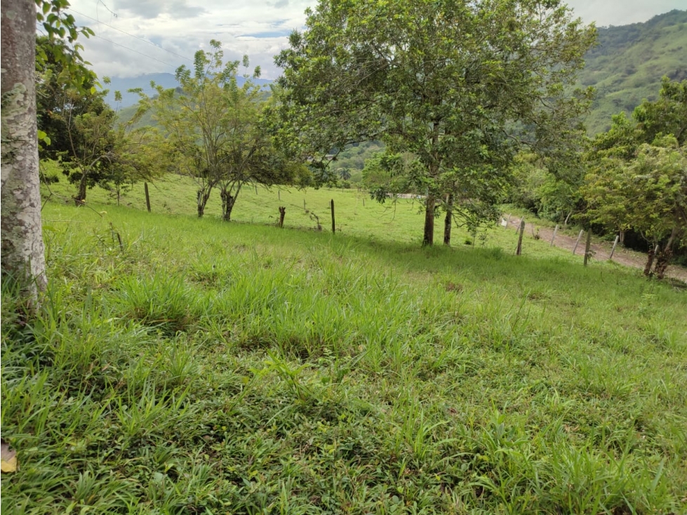 Vendo en Villeta Lote Campestre - 4