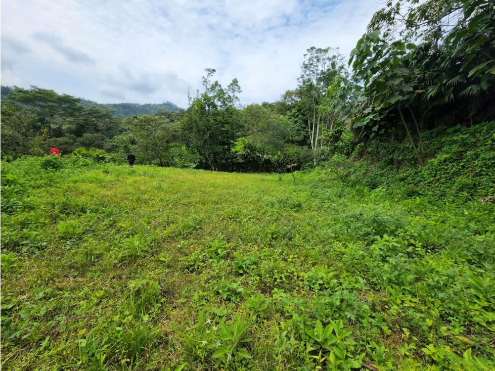 Vende lote en la Vega cund - 6