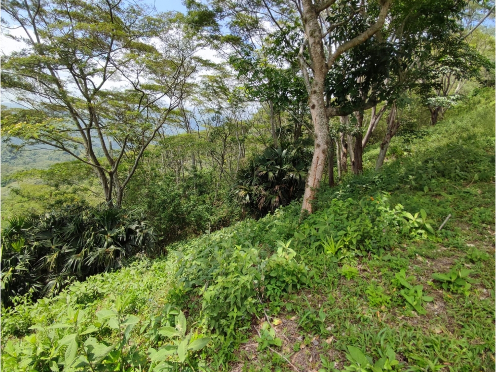 VENDO FINCA EN VILLETA - 6