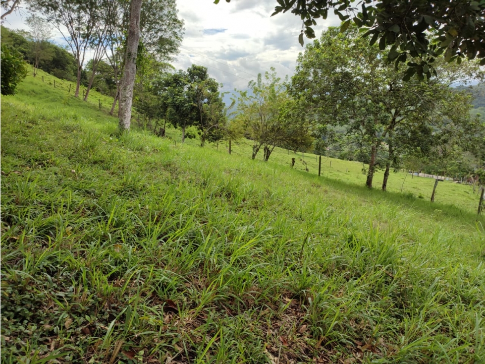Vendo en Villeta Lote Campestre - 5