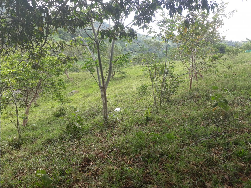 Vendo lote Campestre en Villeta - 4