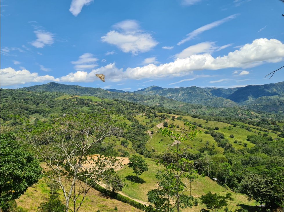 Vendo Lote Campestre en Villeta - 1
