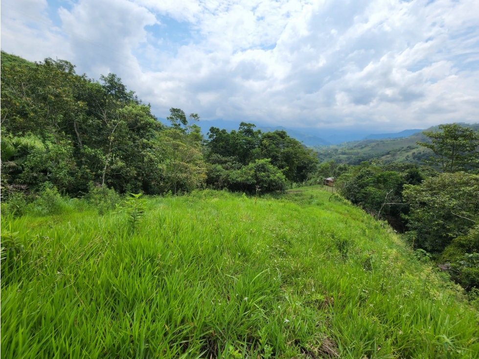 Vende lote en la Vega cund - 2