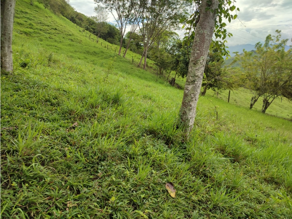 Vendo en Villeta Lote Campestre - 6