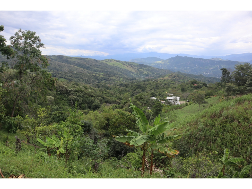 VENDO FINCA PRODUCTIVA EN VILLETA - 1