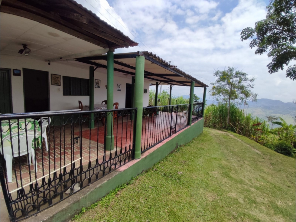 VENDO FINCA EN VILLETA - 3
