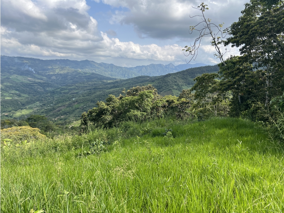 FINCA PRODUCTIVA EN GUADUAS - 2