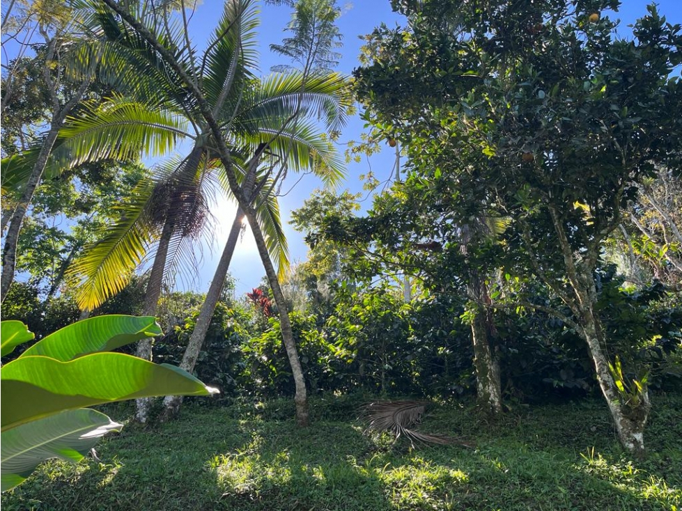 Vendo finca ecoturística en la Vega Cund — foto 5