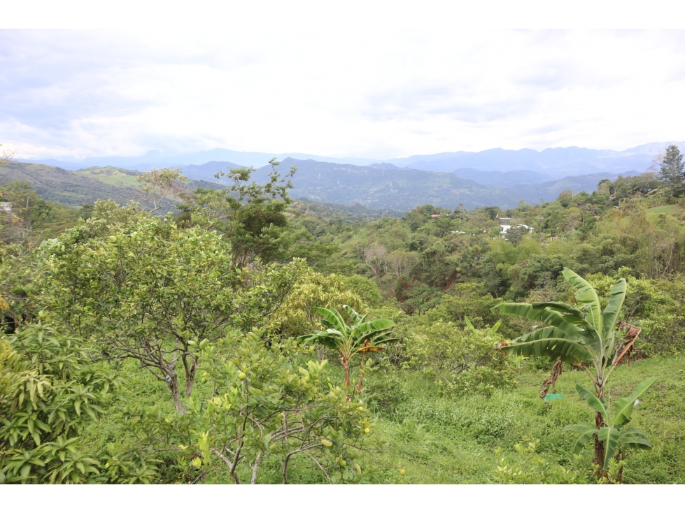 VENDO FINCA PRODUCTIVA EN VILLETA - 5