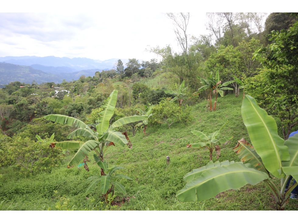 VENDO FINCA PRODUCTIVA EN VILLETA - 2