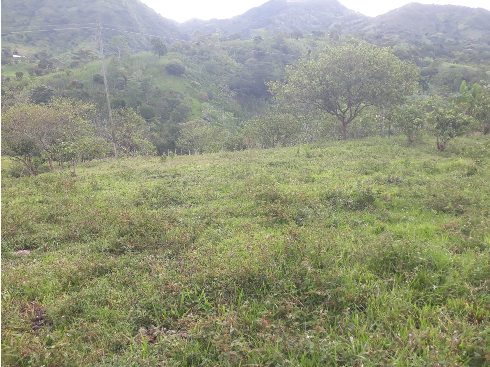 Vendo lote Campestre en Villeta - 5