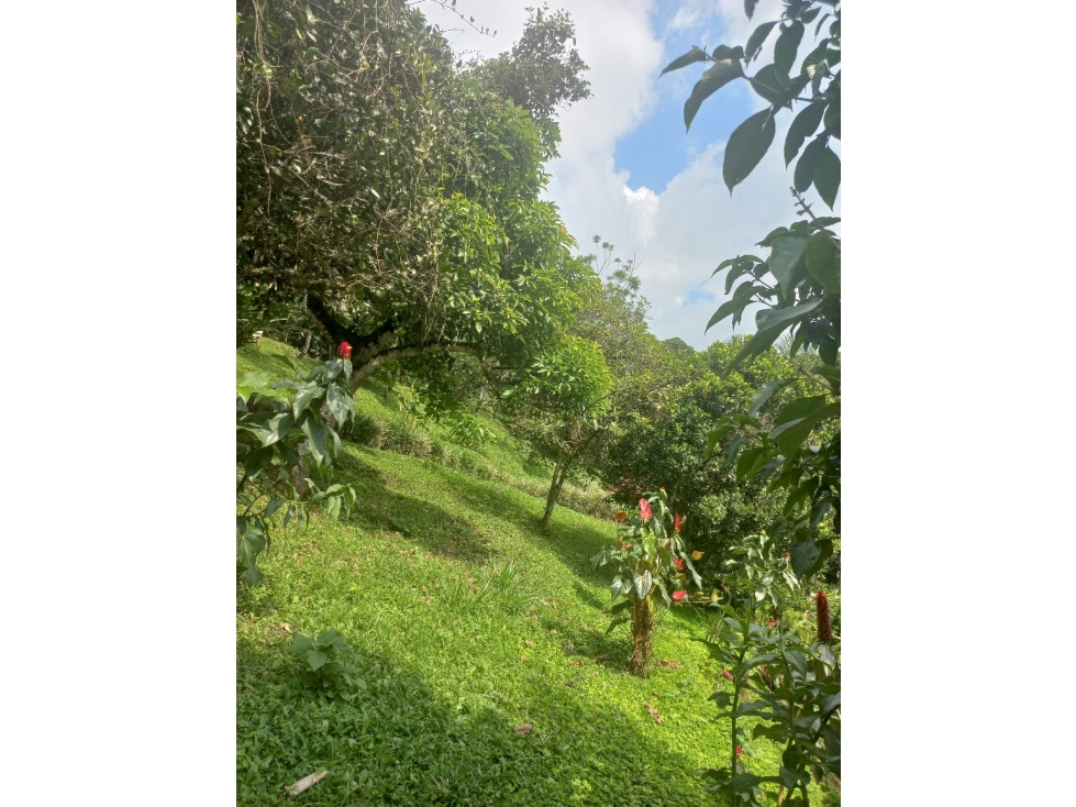 Vendo finca ecoturística en la Vega Cund — foto 3