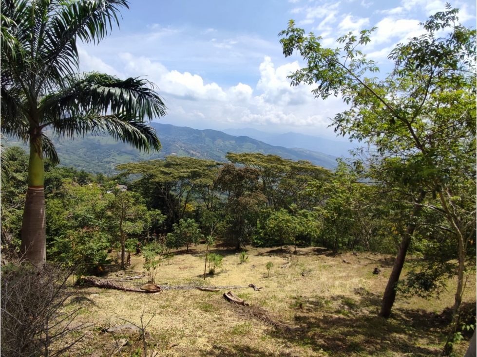 VENDO FINCA EN VILLETA - 5