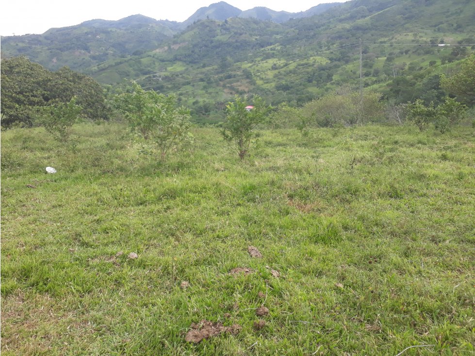 Vendo lote Campestre en Villeta - 2