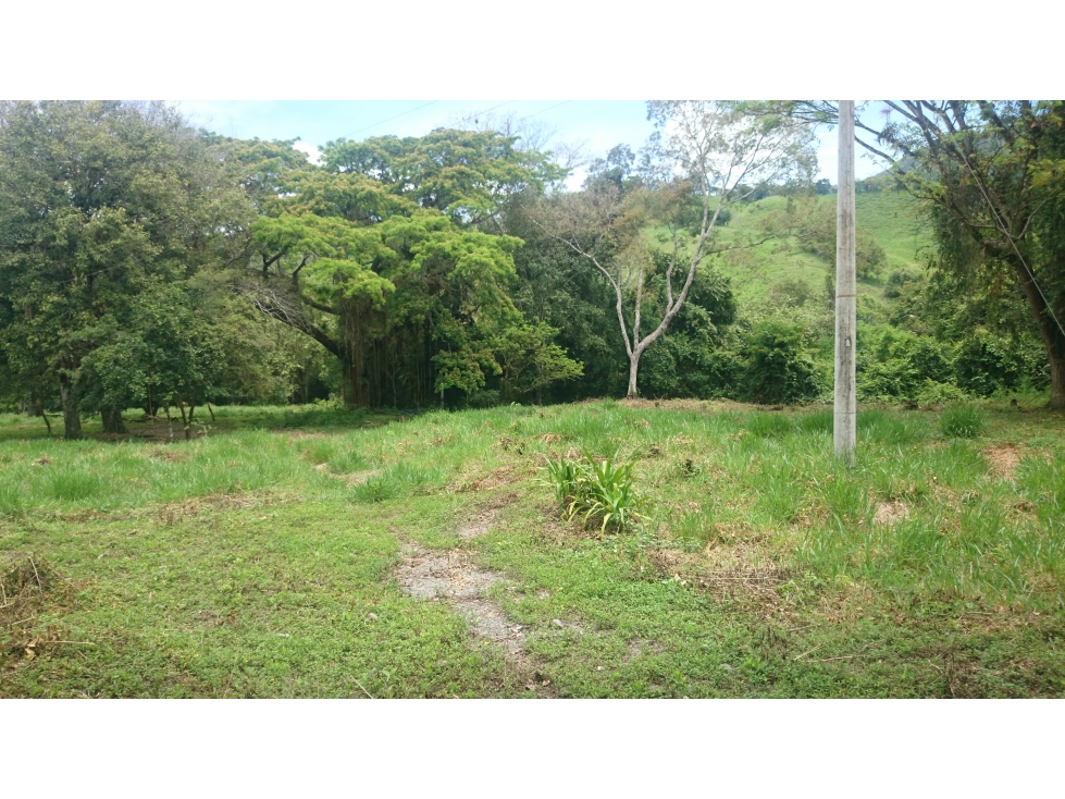 Vendo en Utica Finca Ganadera Y Productiva - 2