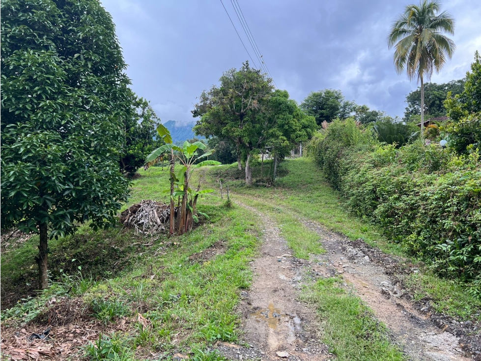 Vende Lote en Conjunto - 5