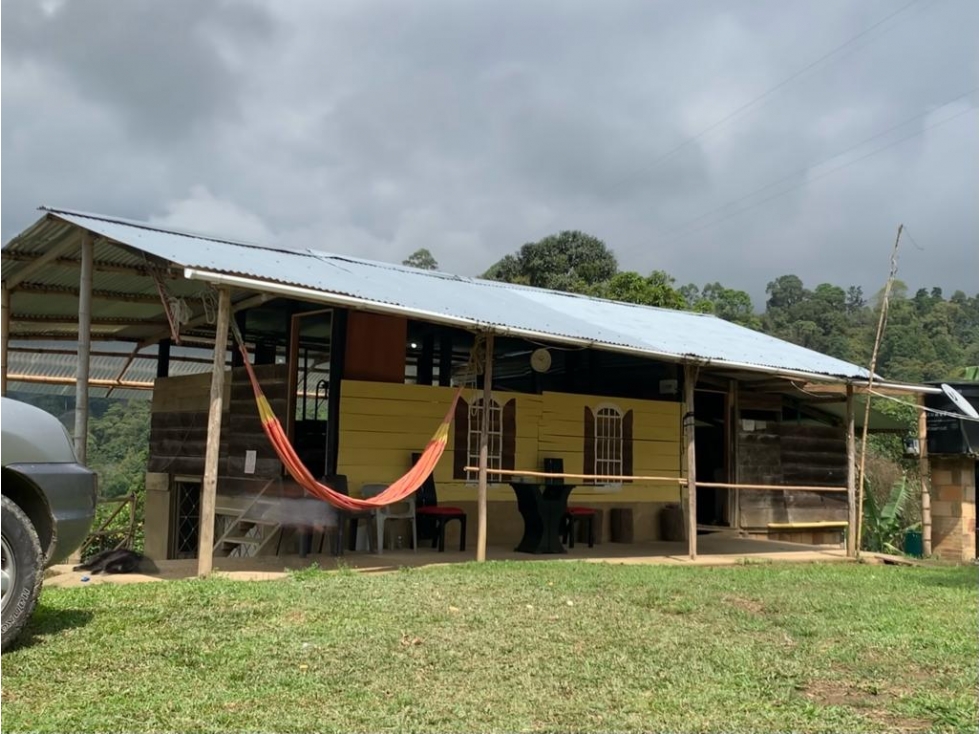 VENDE FINCA PRODUCTIVA EN SASAIMA - 2