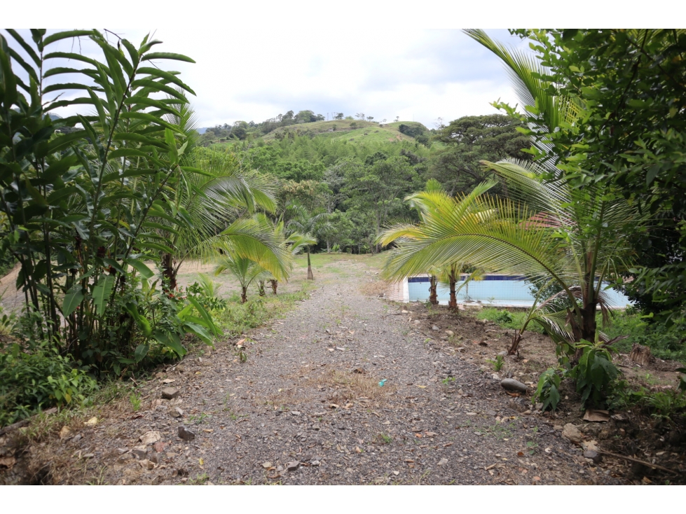 VENDO FINCA EN VILLETA - 3