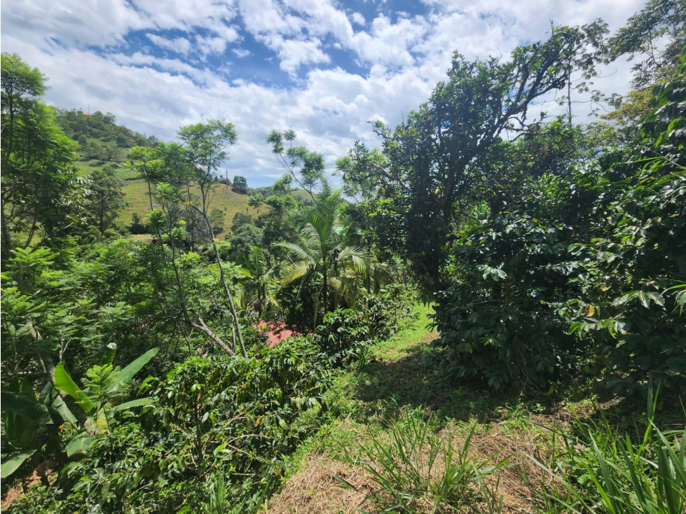 Vendo finca ecoturística en la Vega Cund — foto 6