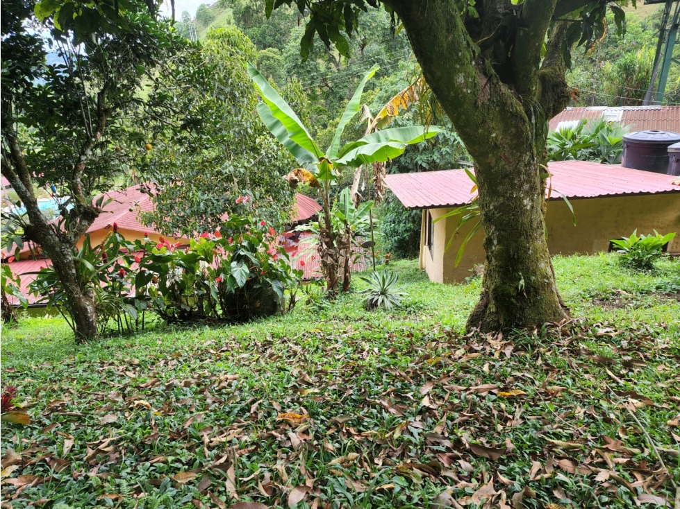Vendo finca ecoturística en la Vega Cund — foto 4