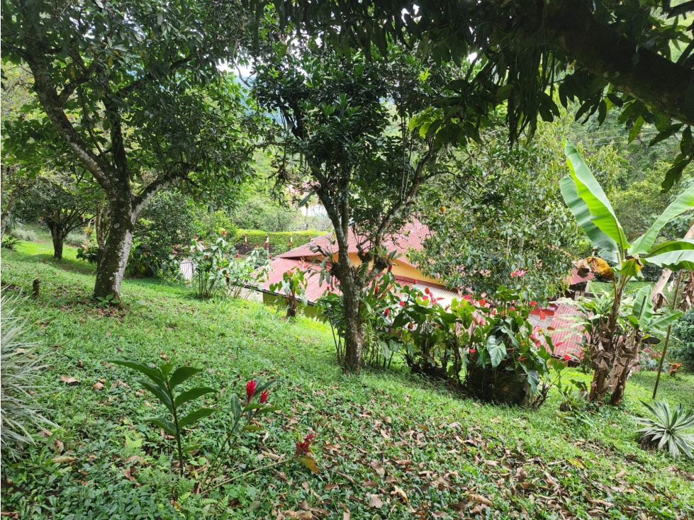 Vendo finca ecoturística en la Vega Cund — foto 2