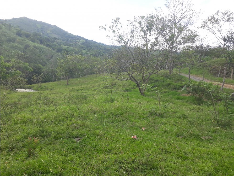 Vendo lote Campestre en Villeta - 3
