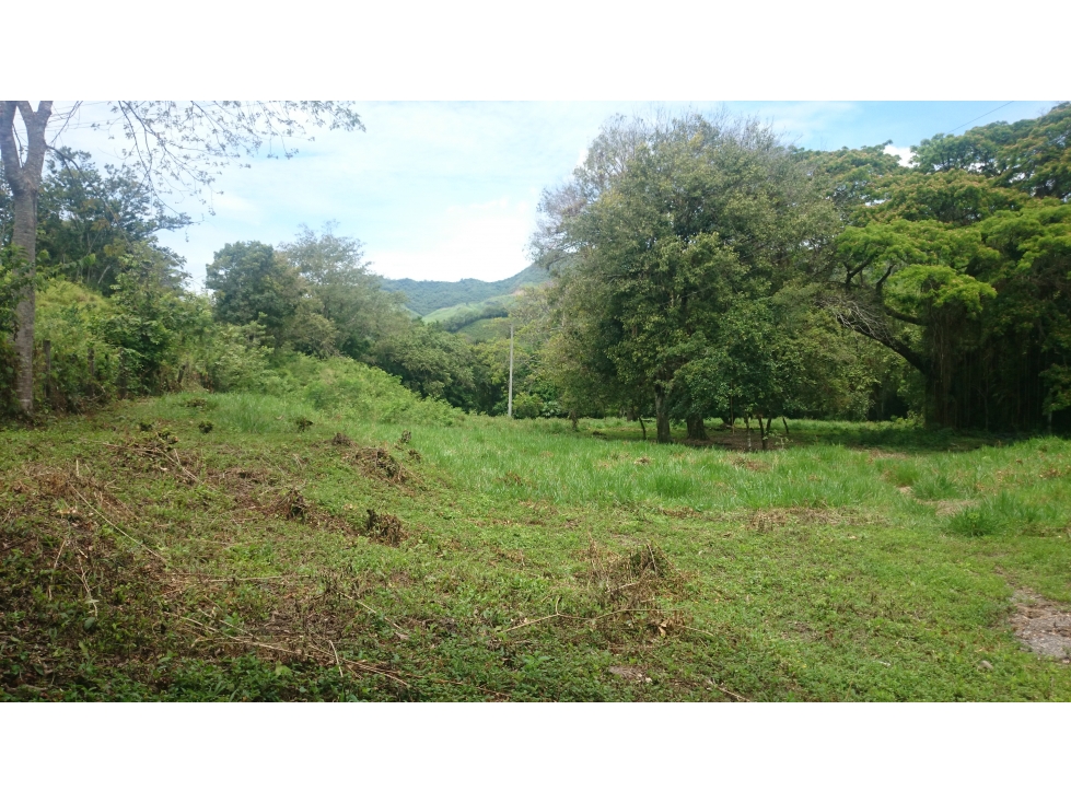 Vendo en Utica Finca Ganadera Y Productiva - 3