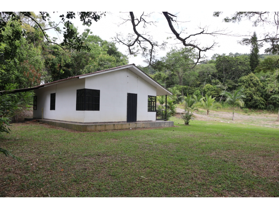 VENDO FINCA EN VILLETA - 4