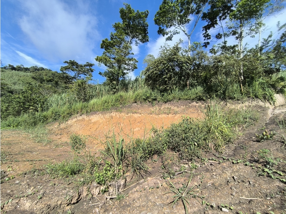 VENDO LOTE CAMPESTRE EN VILLETA - 5