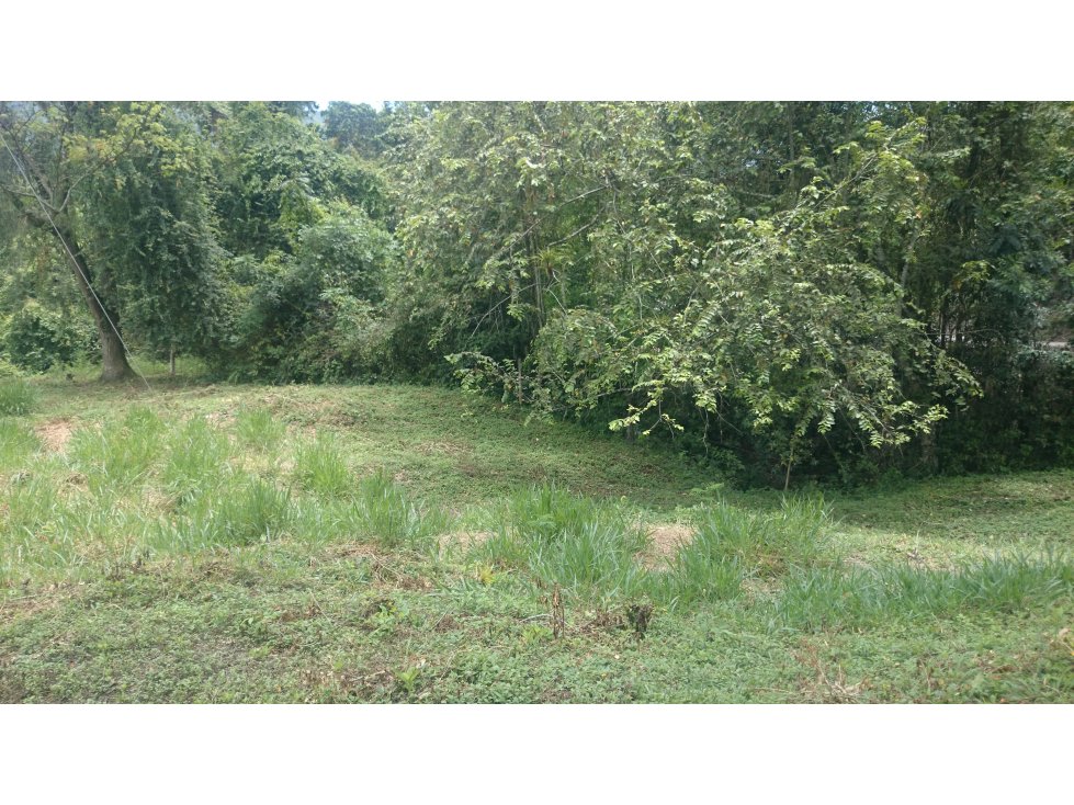 Vendo en Utica Finca Ganadera Y Productiva - 4