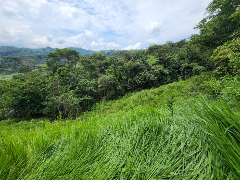 Vende lote en la Vega cund - 3