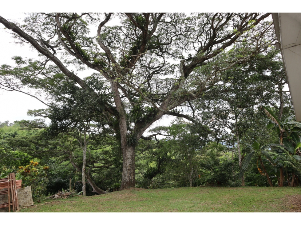 VENDO FINCA EN VILLETA - 5