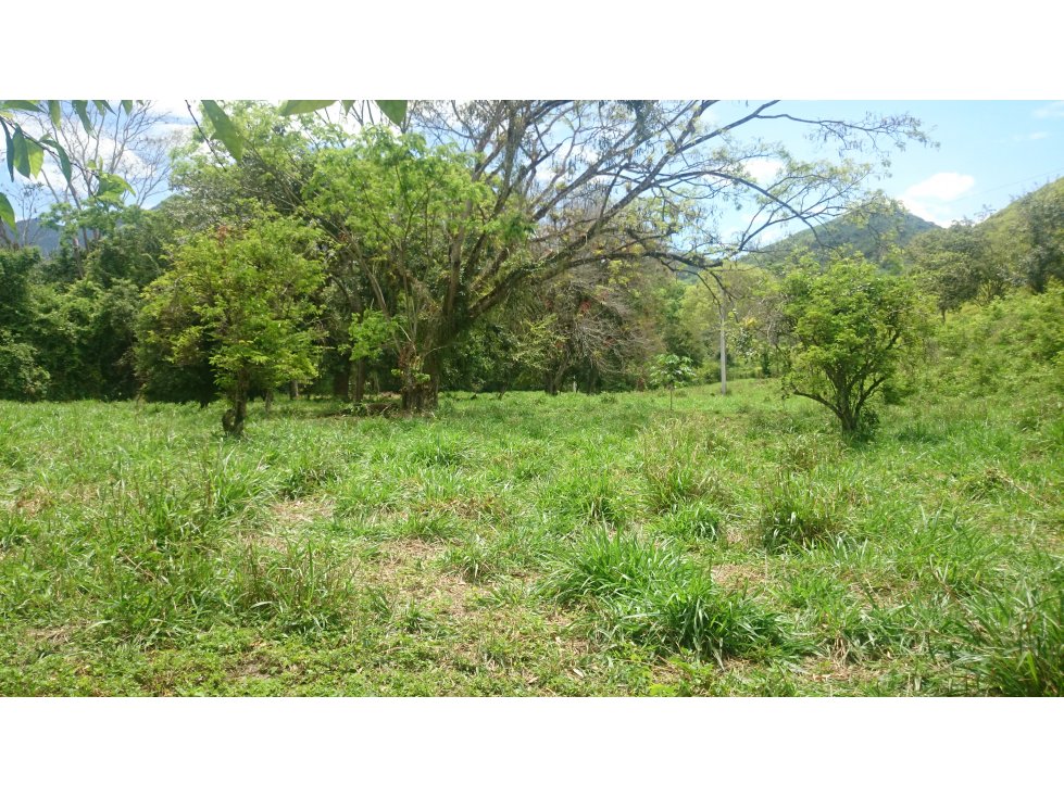 Vendo en Utica Finca Ganadera Y Productiva - 5