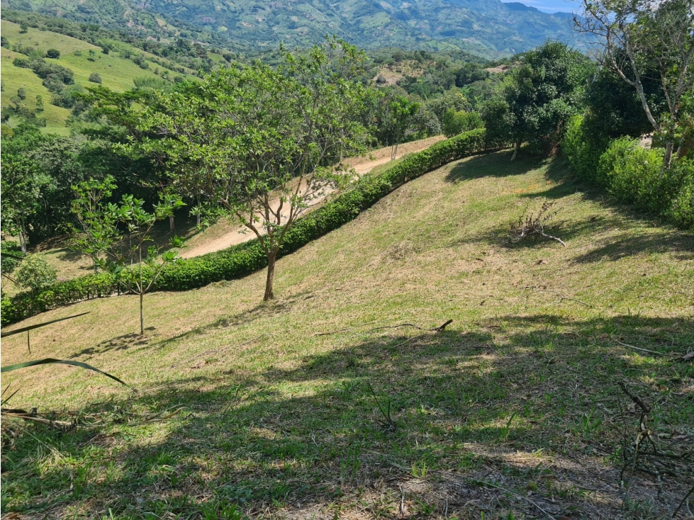 Vendo Lote Campestre en Villeta - 5