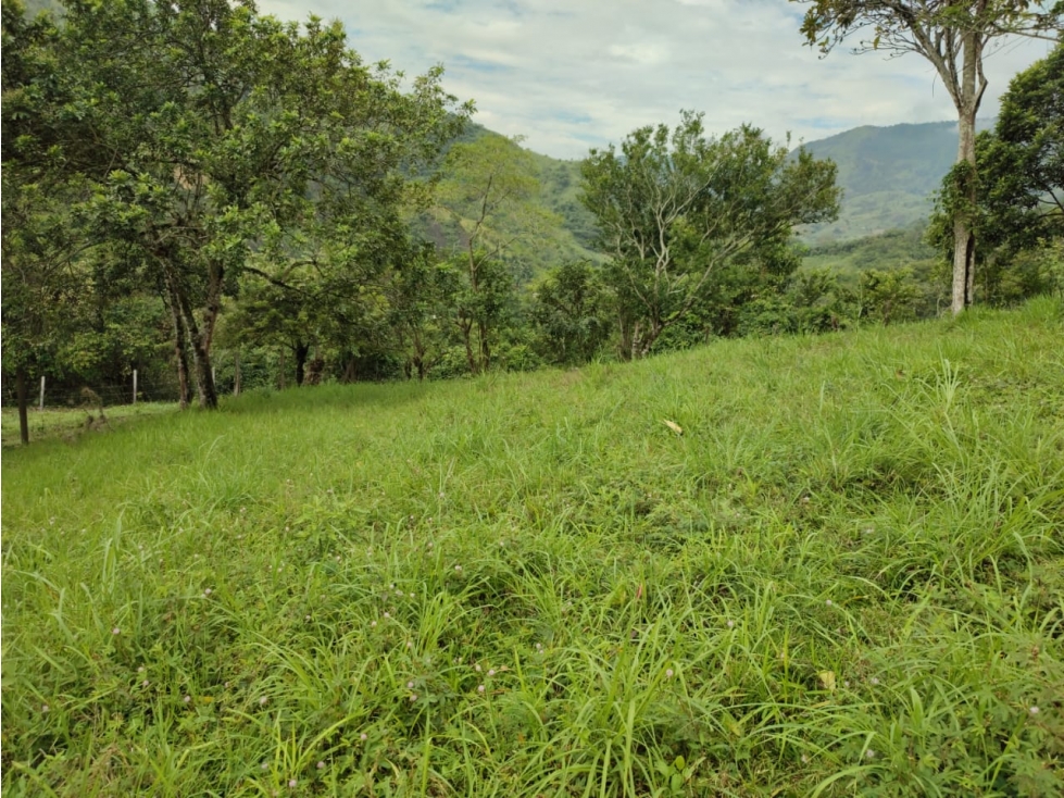 Vendo en Villeta Lote Campestre - 1