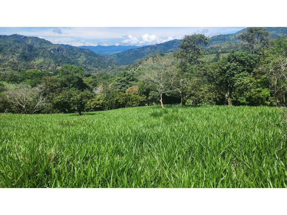 VENDO LOTE EN LA VEGA - 6