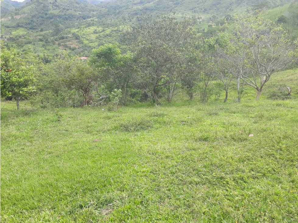 Vendo lote Campestre en Villeta - 6