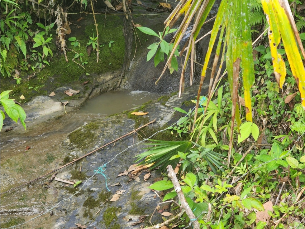 Vende lote en la Vega cund - 4