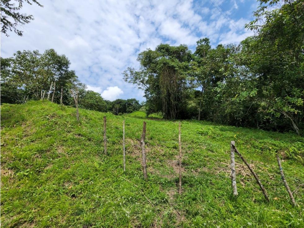 Vende lote en la Vega cund - 5