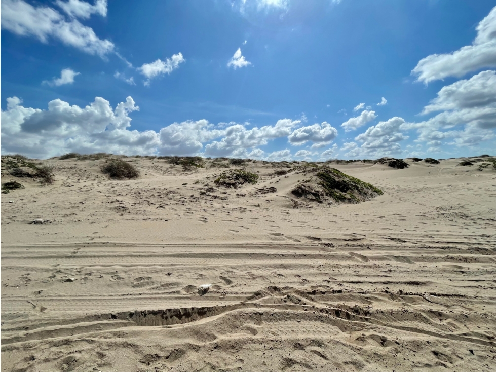 523 Hectáreas a la orilla del mar en Playa Sahuimaro Sonora - 3