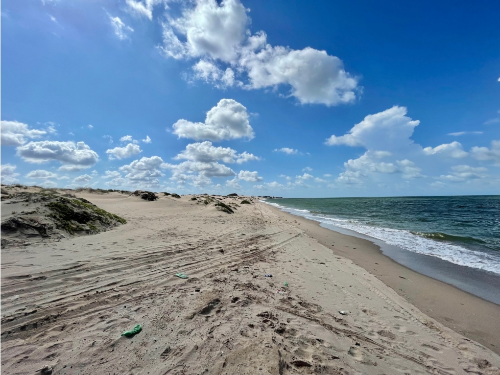 523 Hectáreas a la orilla del mar en Playa Sahuimaro Sonora - 4
