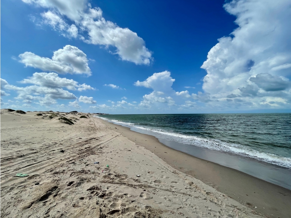 523 Hectáreas a la orilla del mar en Playa Sahuimaro Sonora - 5