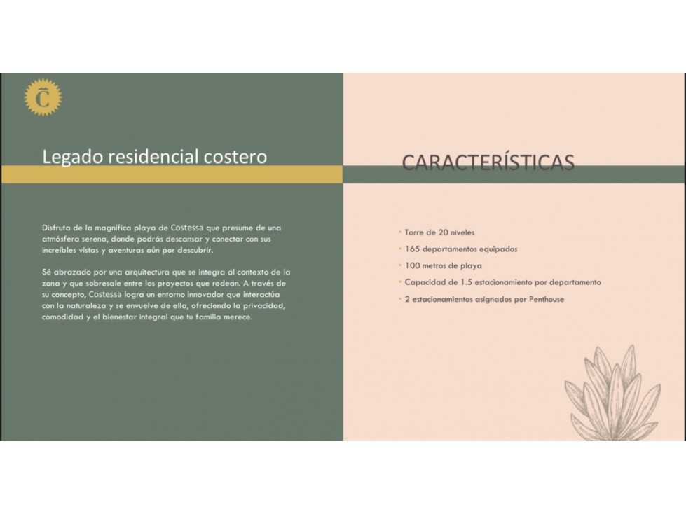 COSTESSA San Carlos preventa de condominios a la orilla del mar — foto 3