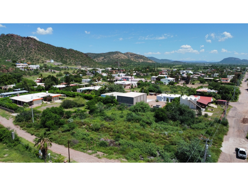 Lote de 1000 m2 en Ranchitos San Carlos Sonora - 6