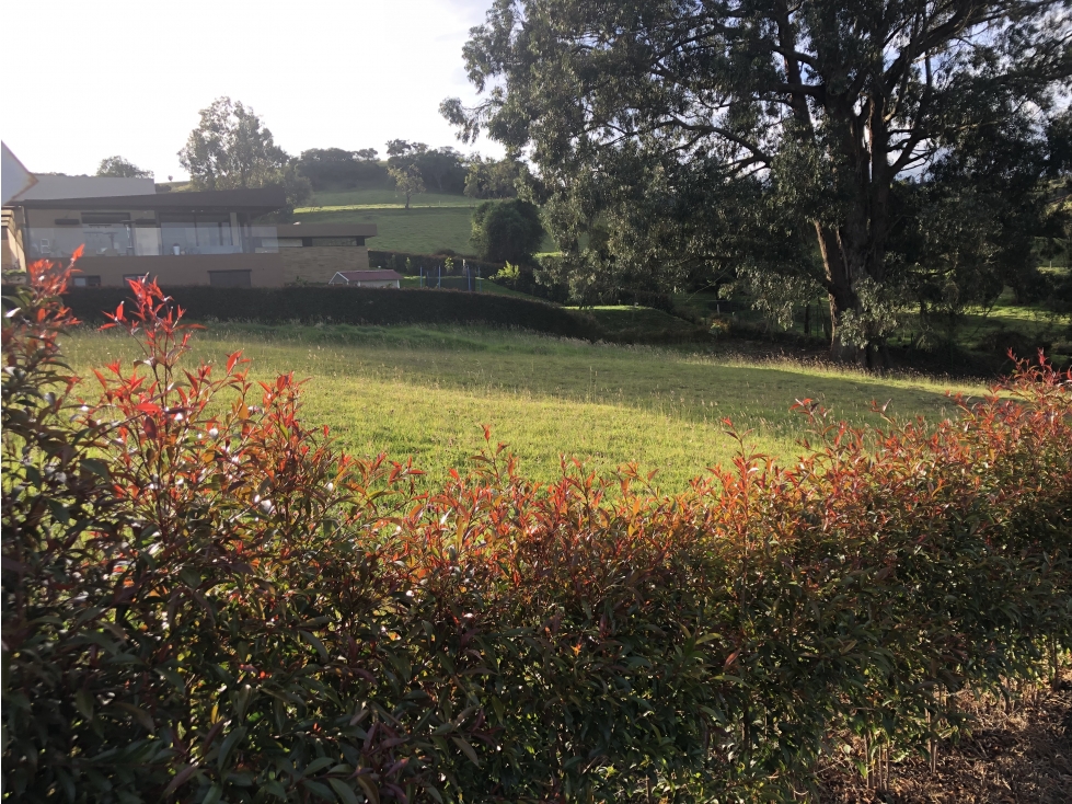 Se vende espectacular lote en Yerbabuena, Sopo.