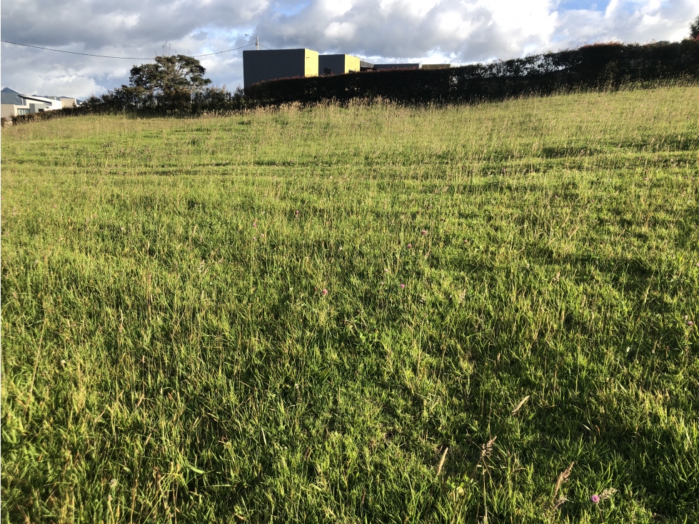 Se vende espectacular lote en Yerbabuena, Sopo. — foto 2