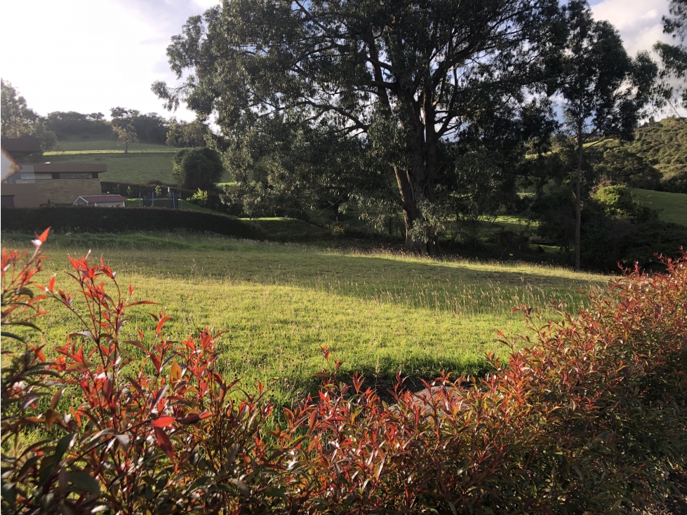 Se vende espectacular lote en Yerbabuena, Sopo. — foto 3