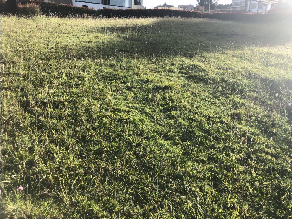 Se vende espectacular lote en Yerbabuena, Sopo. — foto 3
