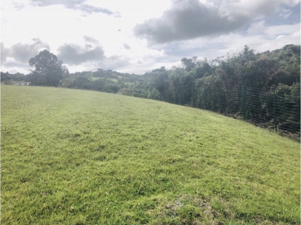 Vendo espectacular lote en Yerbabuena, Sopo — foto 3